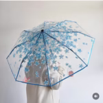 Transparent Umbrella – Stylish & Durable - Image 3