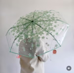 Transparent Umbrella – Stylish & Durable - Image 2