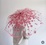 Transparent Umbrella Bangladesh
