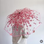 Transparent Umbrella Bangladesh