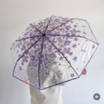 Transparent Umbrella – Stylish & Durable - Image 4